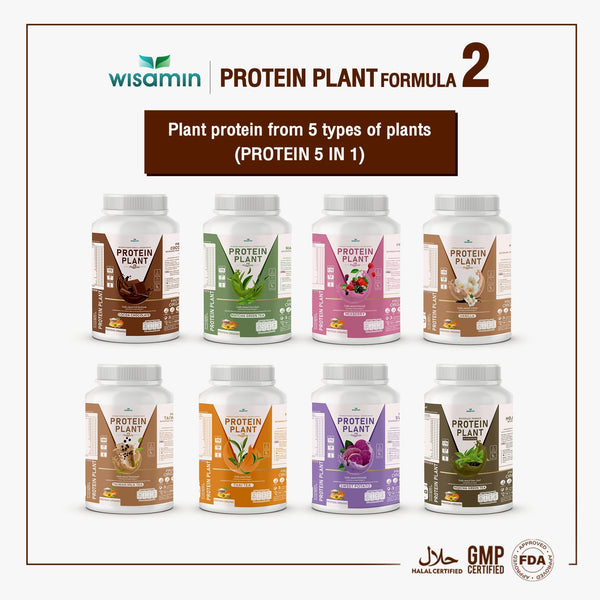 Plant Protein Formula 2 | High protein 16-17g | 920g