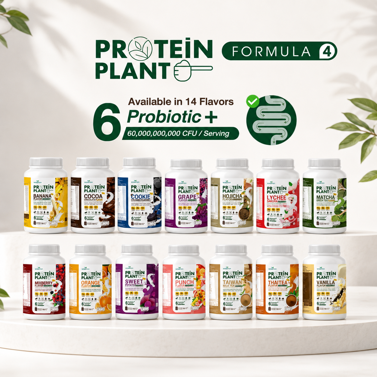 Plant Protein F4 (Probiotic Plus)