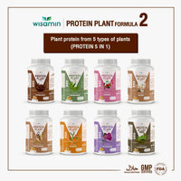 Plant Protein Formula 2 | High protein 16-17g | 920g