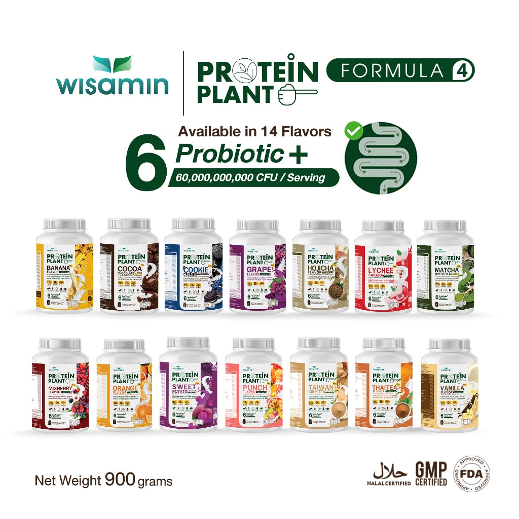 WISAMIN Plant Protein Formula 4 | High protein 18-22g | 900g 2LBS | 14 Flavors | Halal Certified | Organic | Probiotics & Vitamin-Mineral Blend