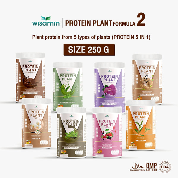 Plant Protein Formula 2 | High protein 16-17g | 250g