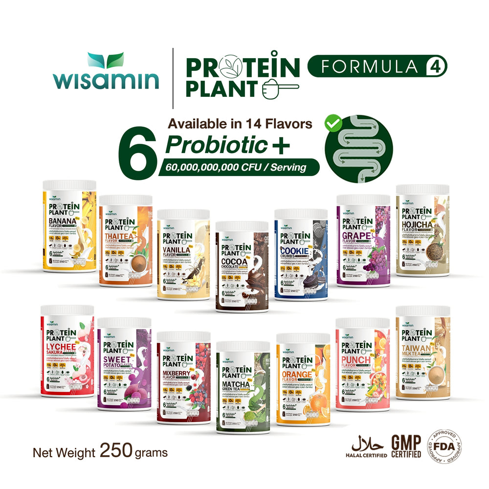WISAMIN Plant Protein Formula 4 | Protein tinggi 18-22g | 250g | 14 Perisa | Diperakui Halal | Organik | Campuran Probiotik & Vitamin-Mineral