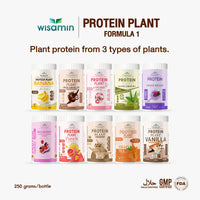 Plant Protein Formula 1 | High protein 27-30g | 250g