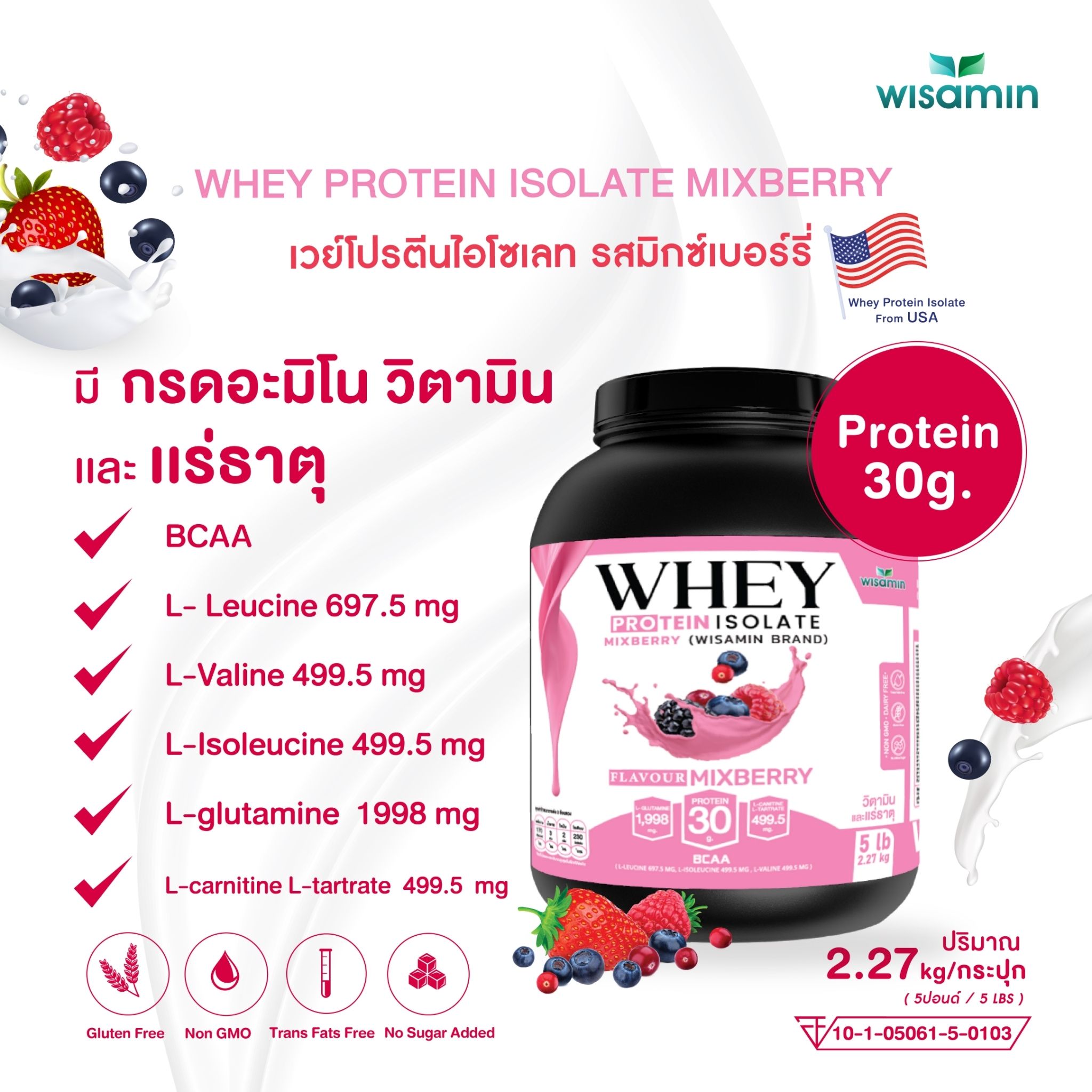 WISAMIN Whey Protein Isolate | 2.27kg (5LB) | 28–32g Protein | 11 Flavors | Halal Certified | No Added Sugar