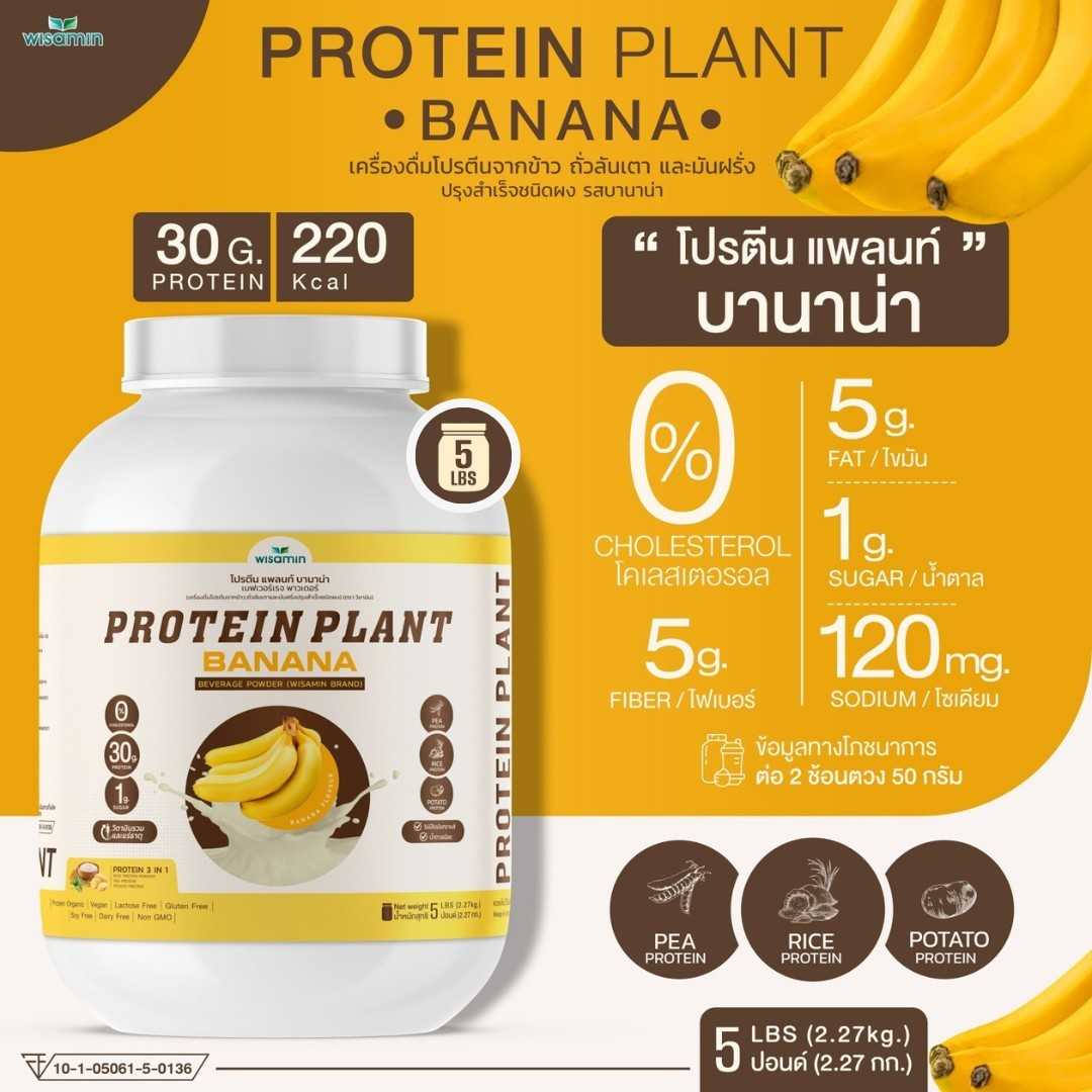 WISAMIN Plant Protein Formula 1 | 2.27 kg (5LB) | 10 Flavors | Organic | Halal | Soy-Free | Non-GMO