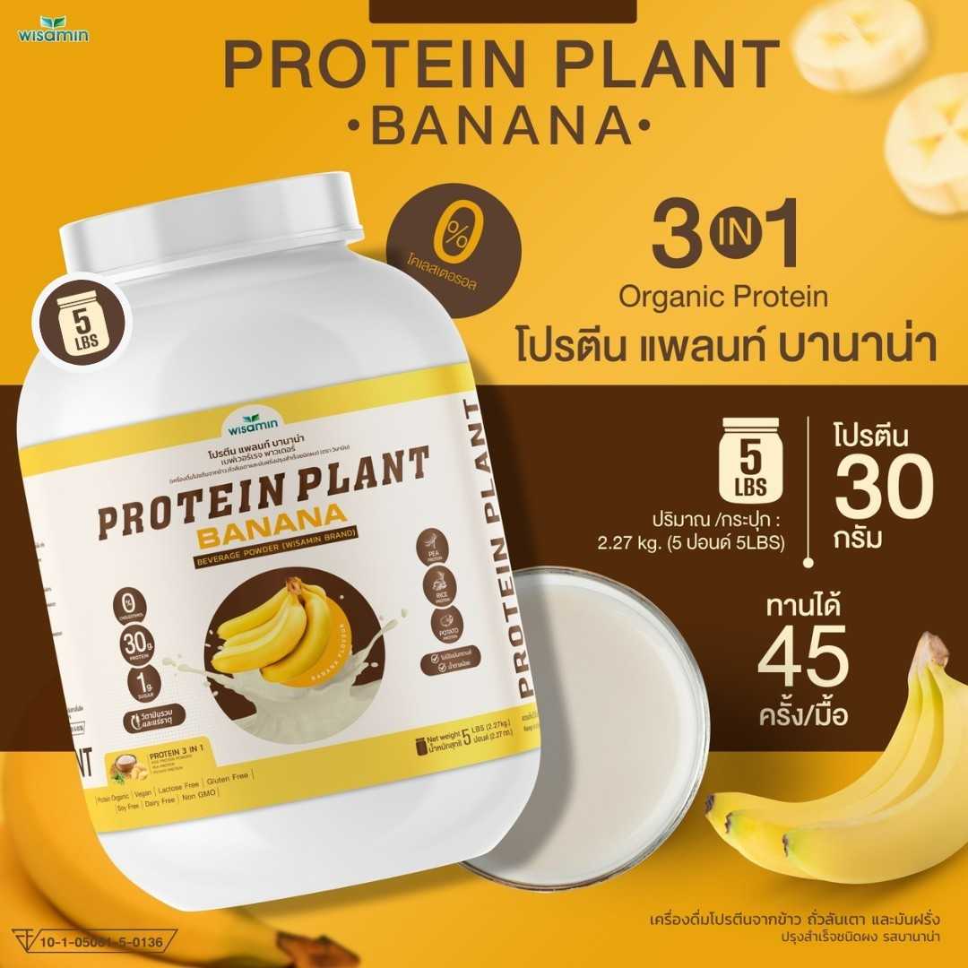 WISAMIN Plant Protein Formula 1 | 2.27 kg (5LB) | 10 Flavors | Organic | Halal | Soy-Free | Non-GMO