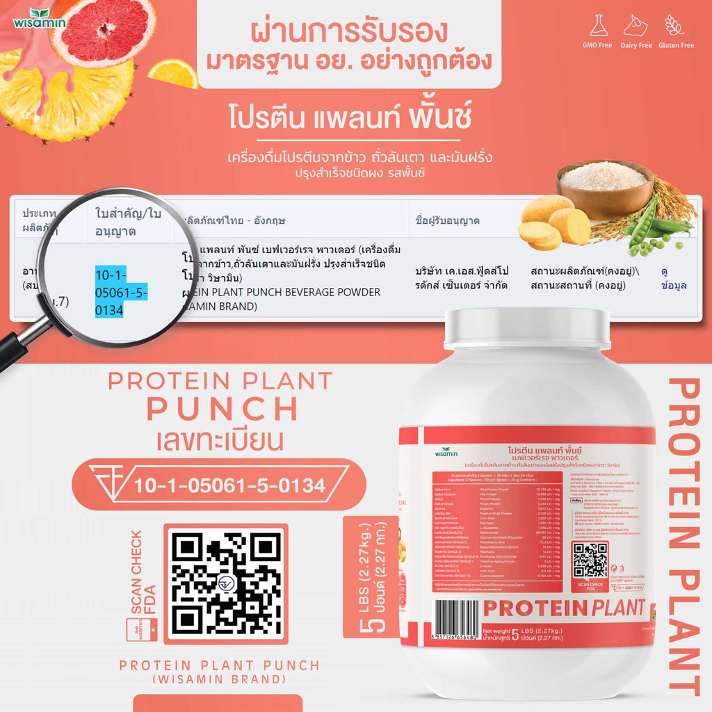 WISAMIN Plant Protein Formula 1 | 2.27 kg (5LB) | 10 Flavors | Organic | Halal | Soy-Free | Non-GMO
