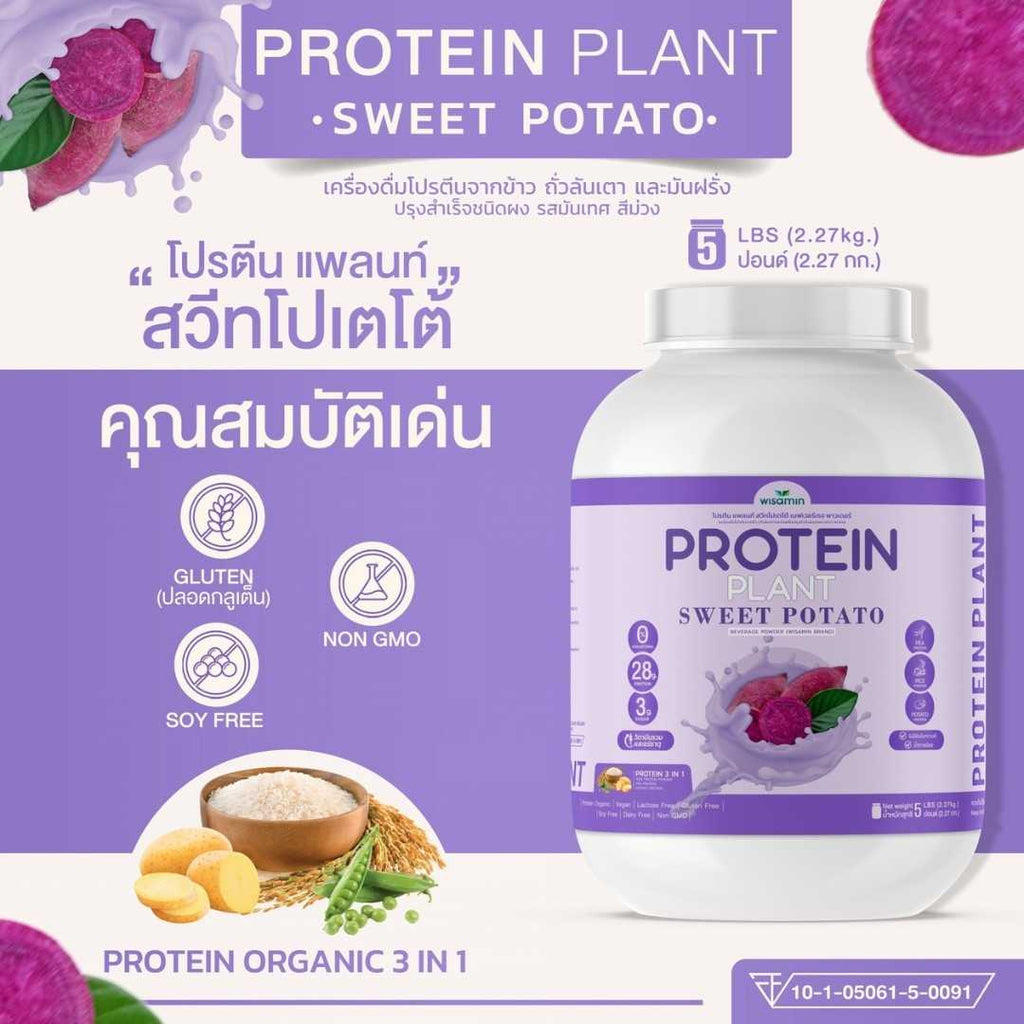 WISAMIN Plant Protein Formula 1 | 2.27 kg (5LB) | 10 Flavors | Organic | Halal | Soy-Free | Non-GMO