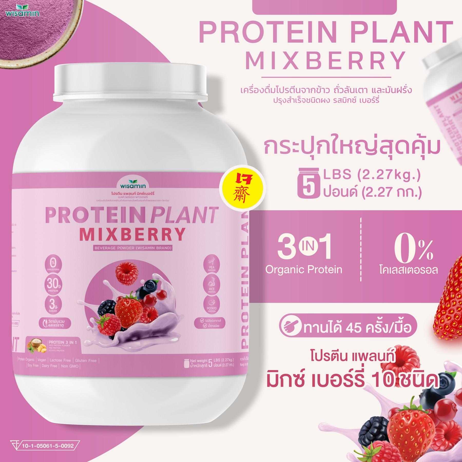 WISAMIN Plant Protein Formula 1 | 2.27 kg (5LB) | 10 Flavors | Organic | Halal | Soy-Free | Non-GMO