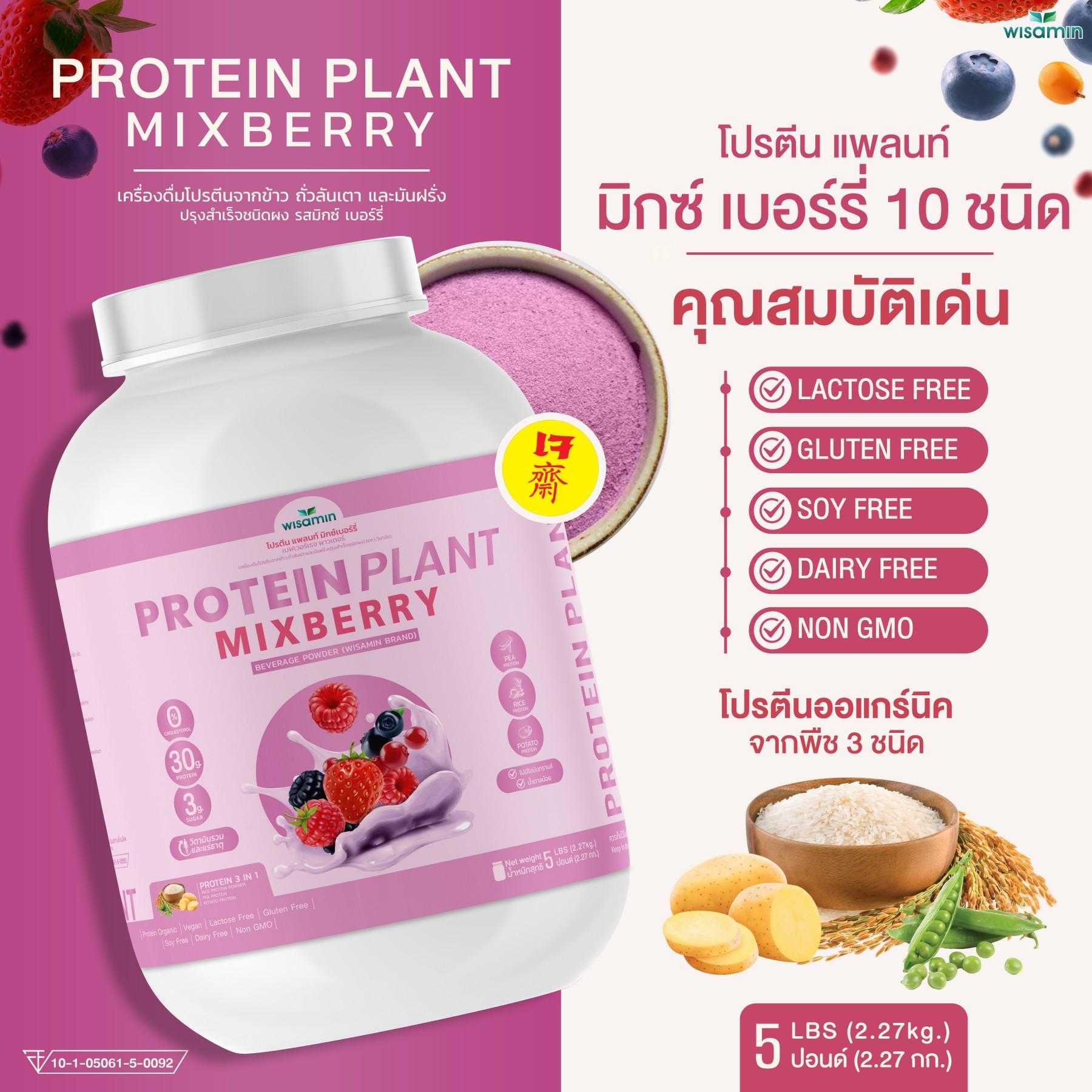 WISAMIN Plant Protein Formula 1 | 2.27 kg (5LB) | 10 Flavors | Organic | Halal | Soy-Free | Non-GMO
