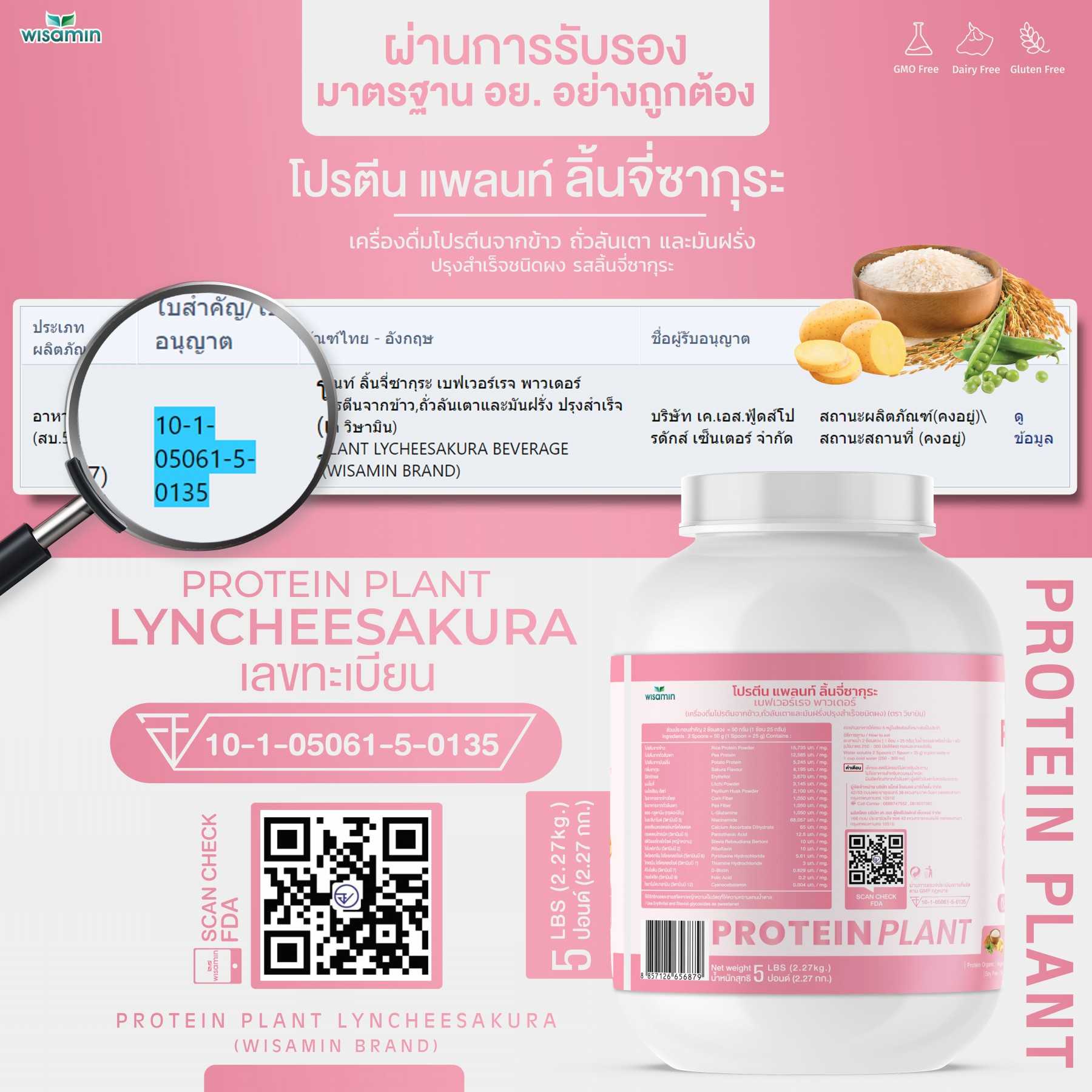 WISAMIN Plant Protein Formula 1 | 2.27 kg (5LB) | 10 Flavors | Organic | Halal | Soy-Free | Non-GMO
