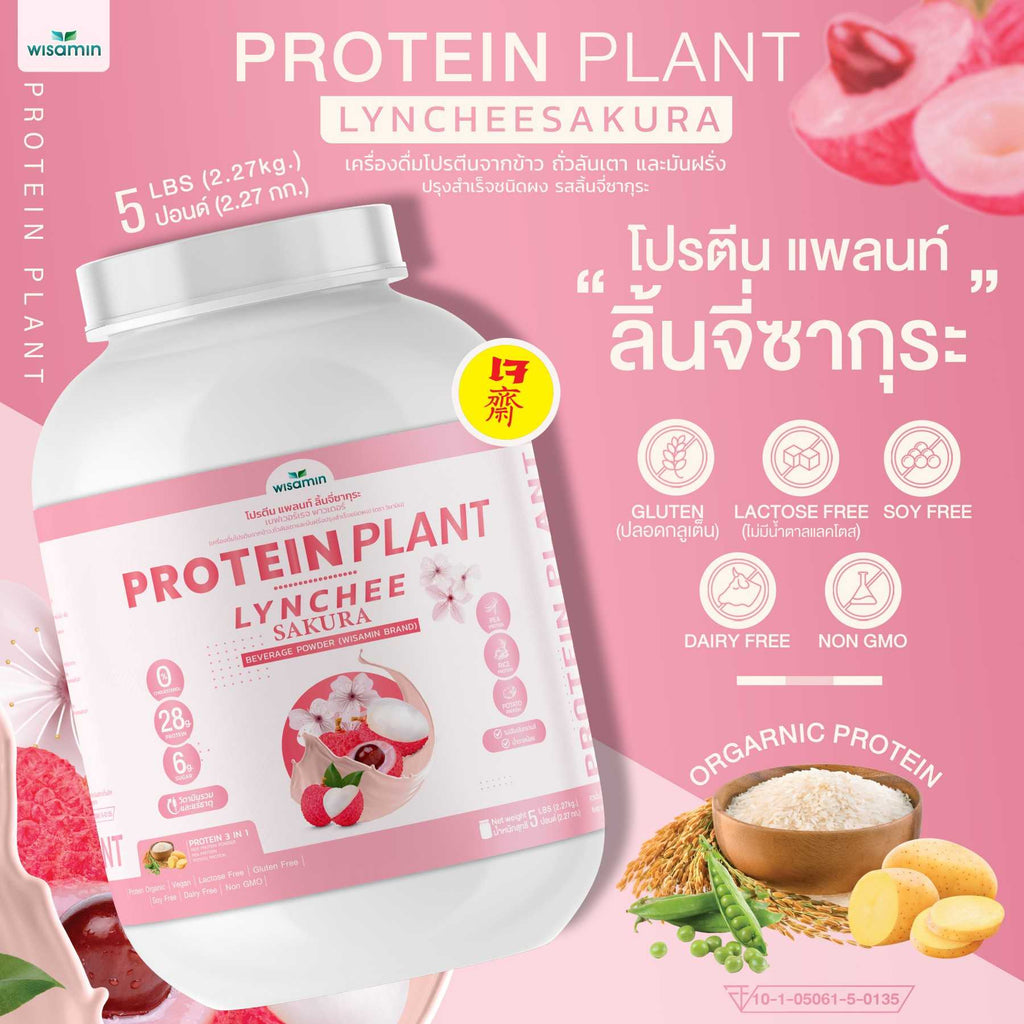 WISAMIN Plant Protein Formula 1 | 2.27 kg (5LB) | 10 Flavors | Organic | Halal | Soy-Free | Non-GMO