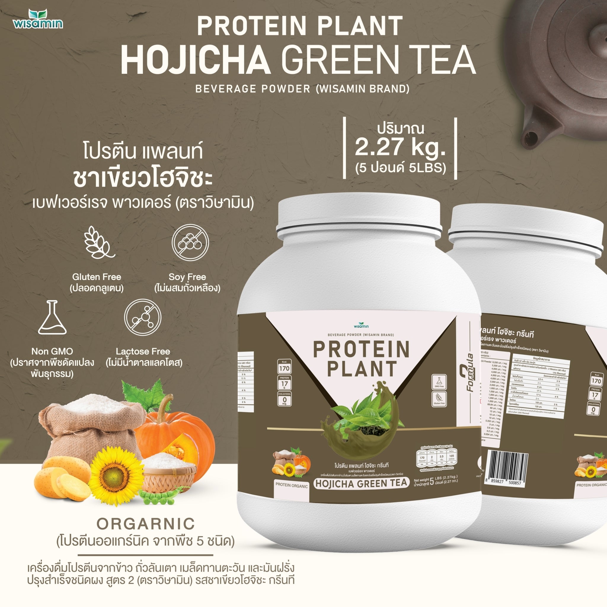 WISAMIN Plant Protein Formula 2 | 2.27 kg (5LB) | 8 Flavors | Organic | Halal | Soy-Free | Non-GMO