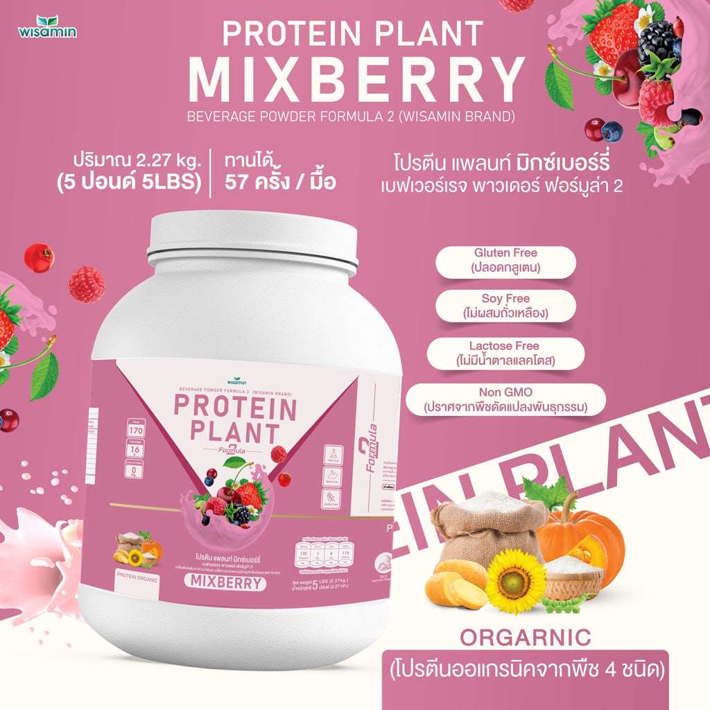 WISAMIN Plant Protein Formula 2 | 2.27 kg (5LB) | 8 Flavors | Organic | Halal | Soy-Free | Non-GMO