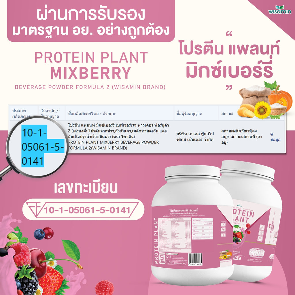 WISAMIN Plant Protein Formula 2 | 2.27 kg (5LB) | 8 Flavors | Organic | Halal | Soy-Free | Non-GMO