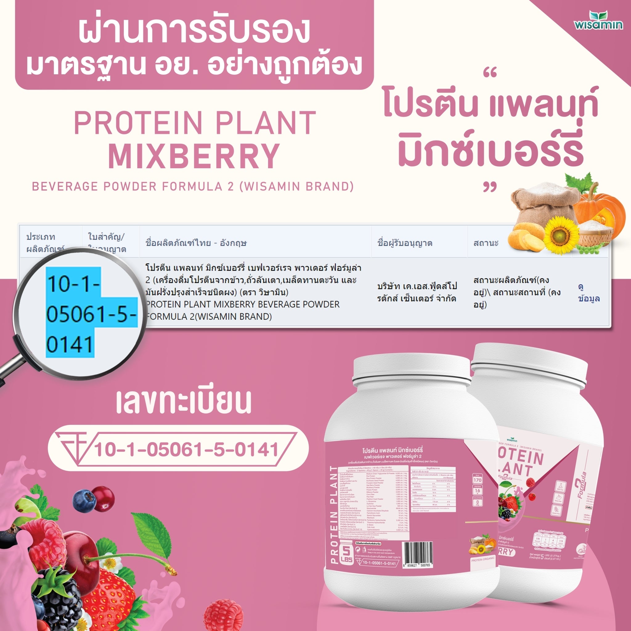 WISAMIN Plant Protein Formula 2 | 2.27 kg (5LB) | 8 Flavors | Organic | Halal | Soy-Free | Non-GMO