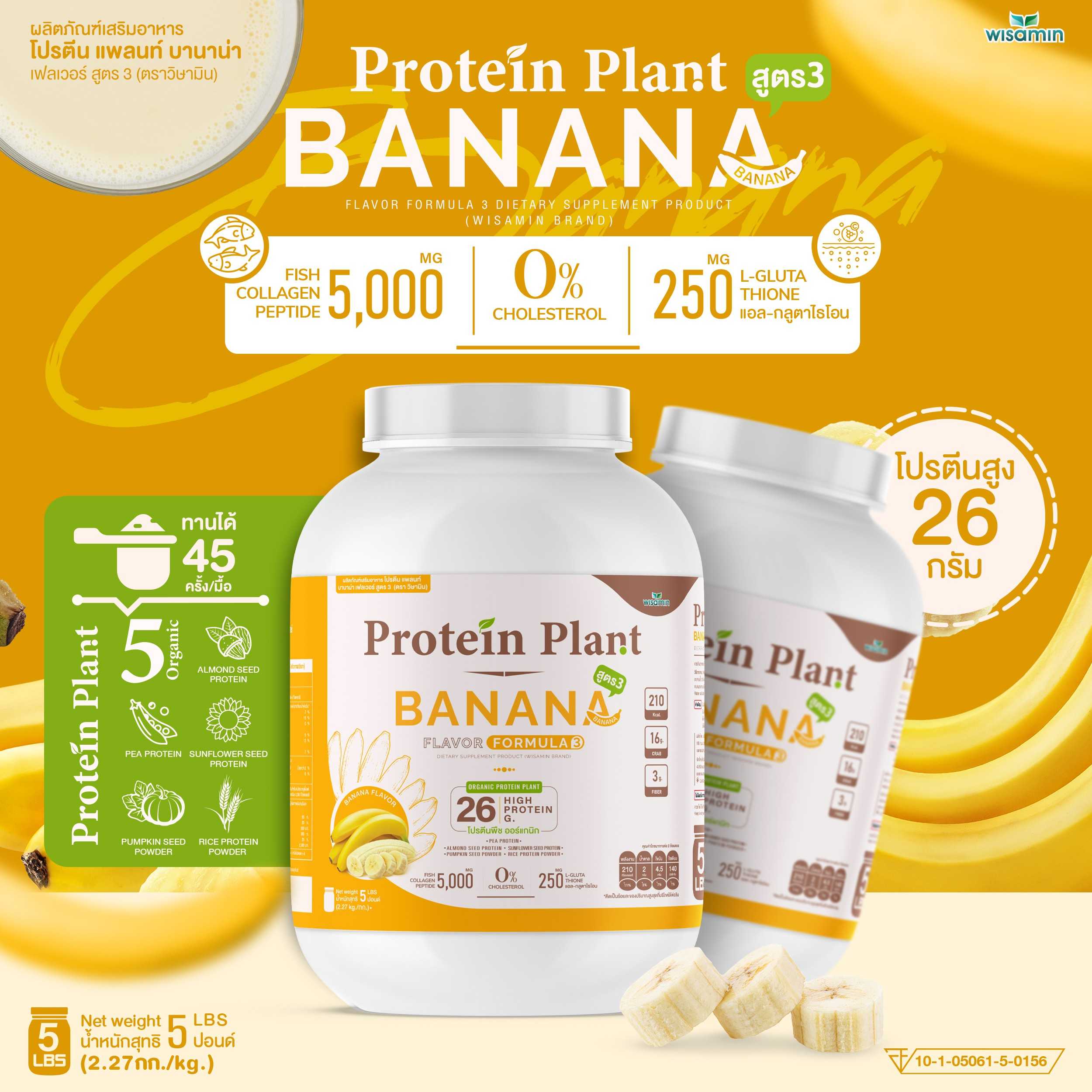 WISAMIN Plant Protein Formula 3 | 2.27 kg (5 lb) | 11 Flavors | Halal | Organic | Collagen Peptide | L-Glutathione