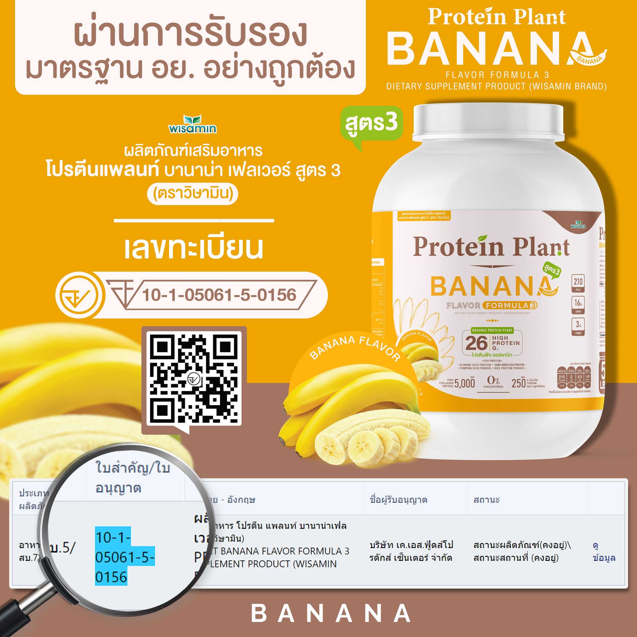WISAMIN Plant Protein Formula 3 | 2.27 kg (5 lb) | 11 Flavors | Halal | Organic | Collagen Peptide | L-Glutathione