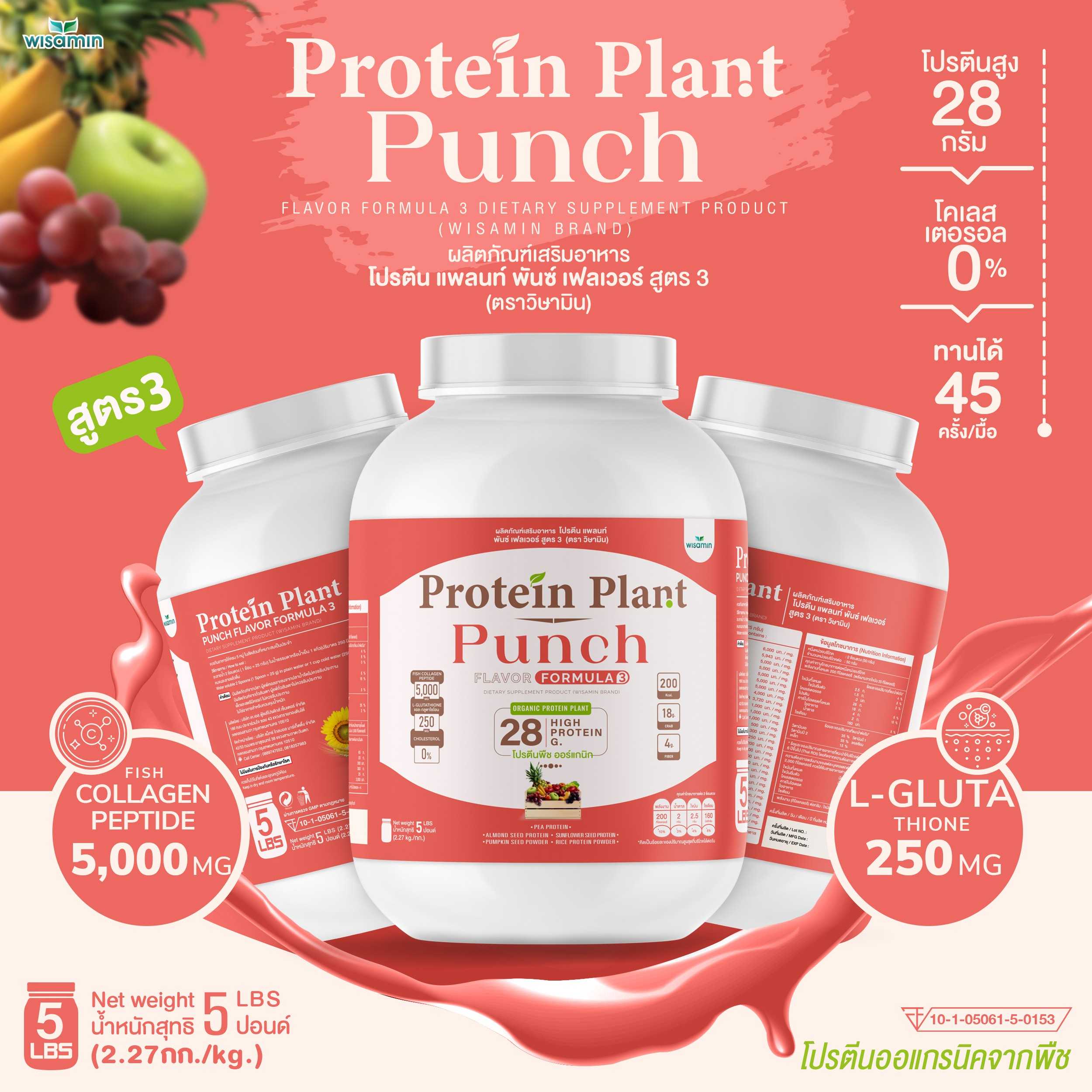 WISAMIN Plant Protein Formula 3 | 2.27 kg (5 lb) | 11 Flavors | Halal | Organic | Collagen Peptide | L-Glutathione