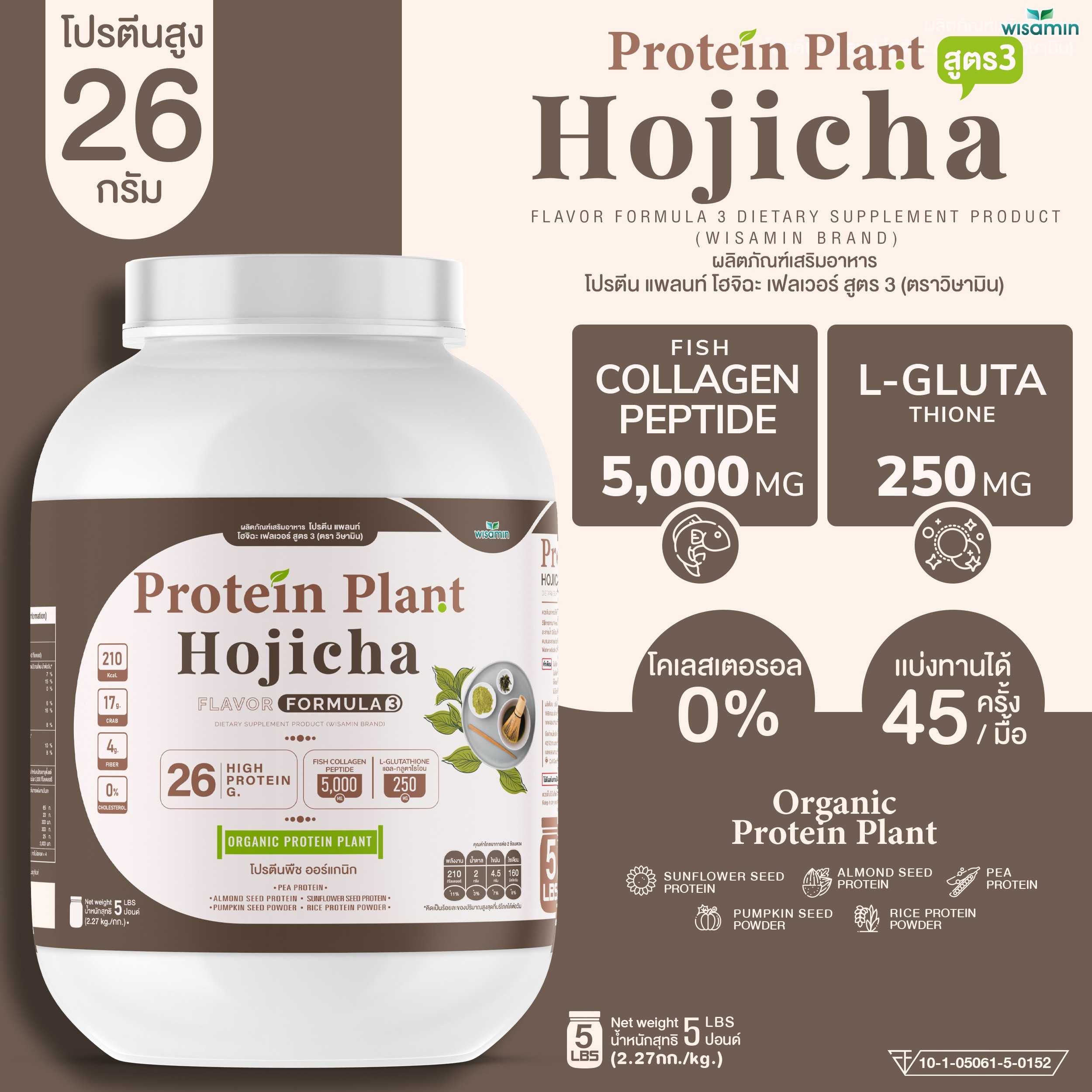 WISAMIN Plant Protein Formula 3 | 2.27 kg (5 lb) | 11 Flavors | Halal | Organic | Collagen Peptide | L-Glutathione