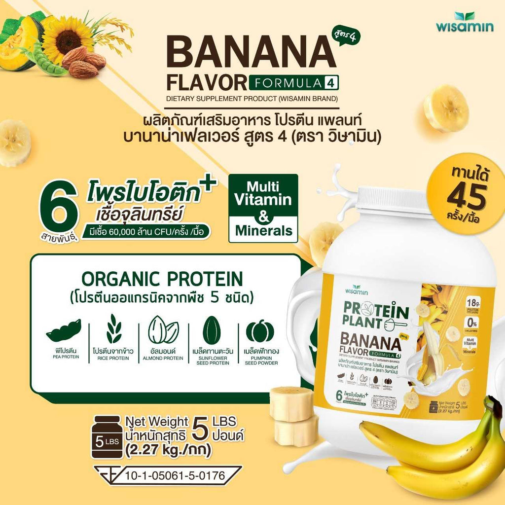 WISAMIN Plant Protein Formula 4 | Available in 14 Flavors | 2.27 kg (5LB) | 45 Servings | Halal | Organic | Probiotics & Minerals