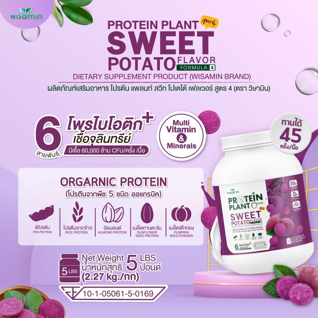 WISAMIN Plant Protein Formula 4 | Available in 14 Flavors | 2.27 kg (5LB) | 45 Servings | Halal | Organic | Probiotics & Minerals
