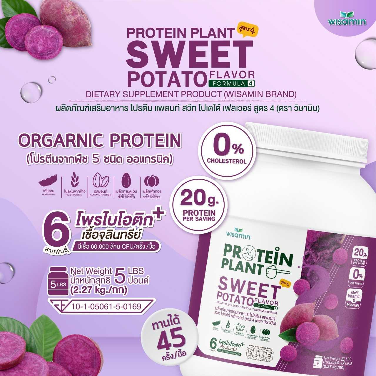 WISAMIN Plant Protein Formula 4 | Available in 14 Flavors | 2.27 kg (5LB) | 45 Servings | Halal | Organic | Probiotics & Minerals