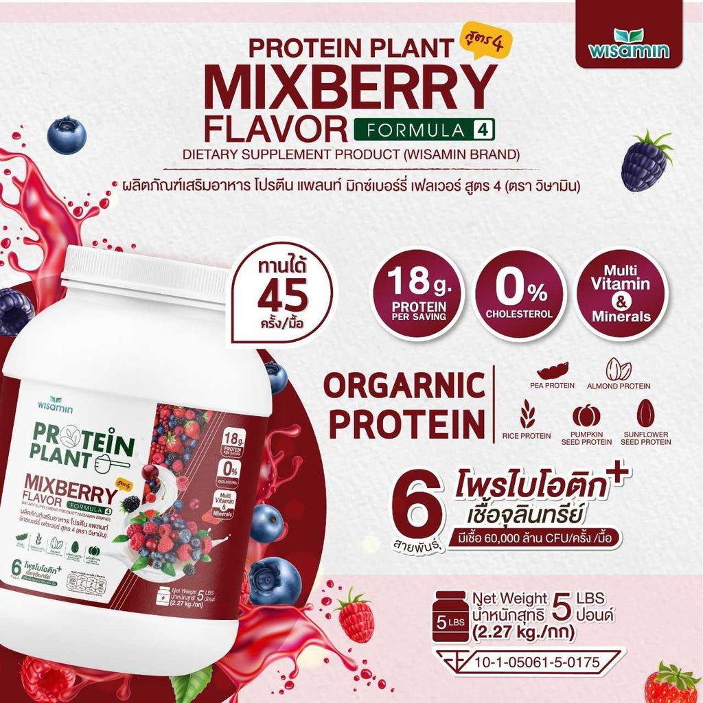 WISAMIN Plant Protein Formula 4 | Available in 14 Flavors | 2.27 kg (5LB) | 45 Servings | Halal | Organic | Probiotics & Minerals