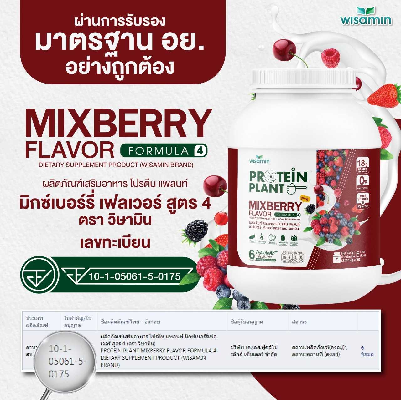 WISAMIN Plant Protein Formula 4 | Available in 14 Flavors | 2.27 kg (5LB) | 45 Servings | Halal | Organic | Probiotics & Minerals