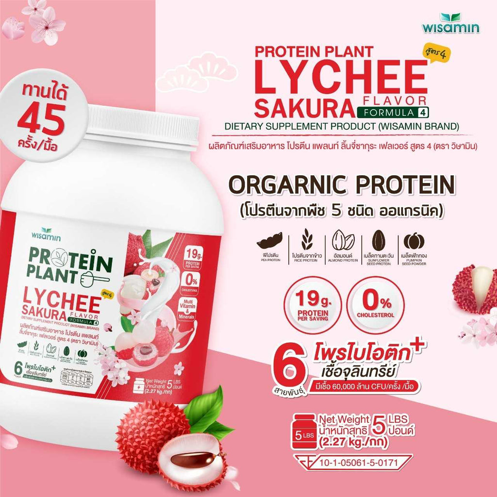 WISAMIN Plant Protein Formula 4 | Available in 14 Flavors | 2.27 kg (5LB) | 45 Servings | Halal | Organic | Probiotics & Minerals