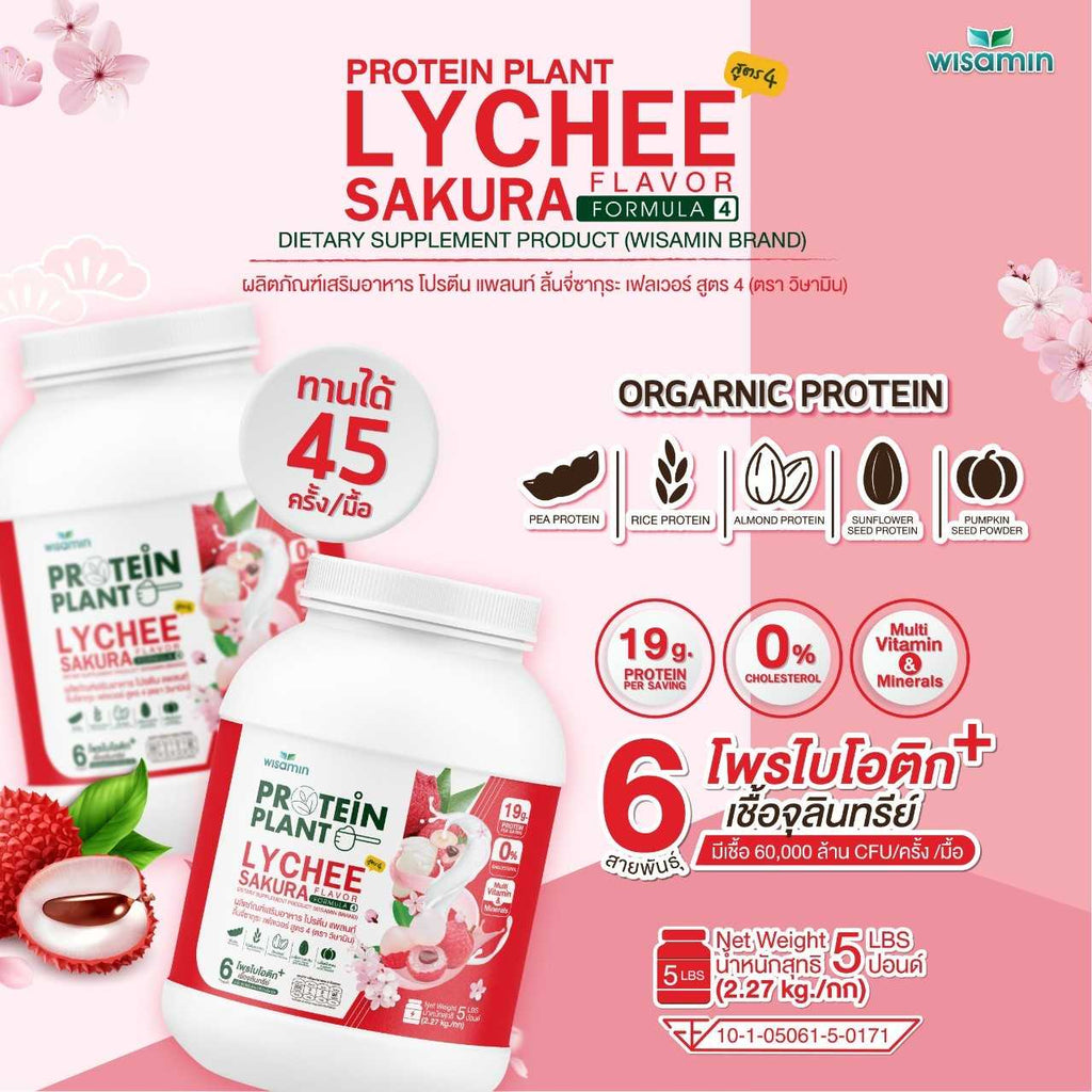 WISAMIN Plant Protein Formula 4 | Available in 14 Flavors | 2.27 kg (5LB) | 45 Servings | Halal | Organic | Probiotics & Minerals