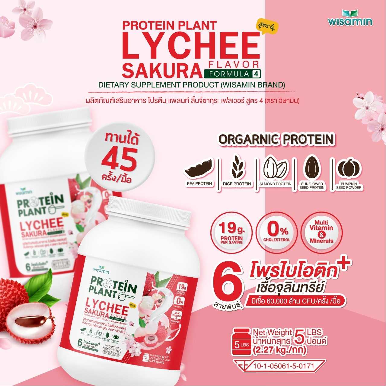 WISAMIN Plant Protein Formula 4 | Available in 14 Flavors | 2.27 kg (5LB) | 45 Servings | Halal | Organic | Probiotics & Minerals