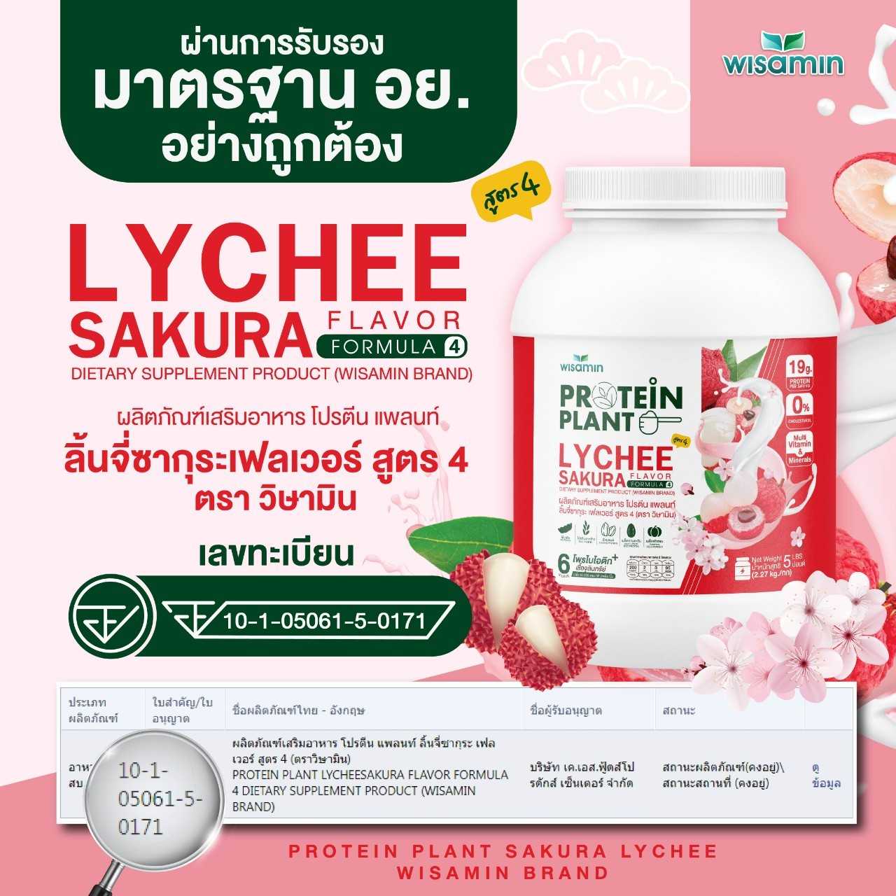 WISAMIN Plant Protein Formula 4 | Available in 14 Flavors | 2.27 kg (5LB) | 45 Servings | Halal | Organic | Probiotics & Minerals