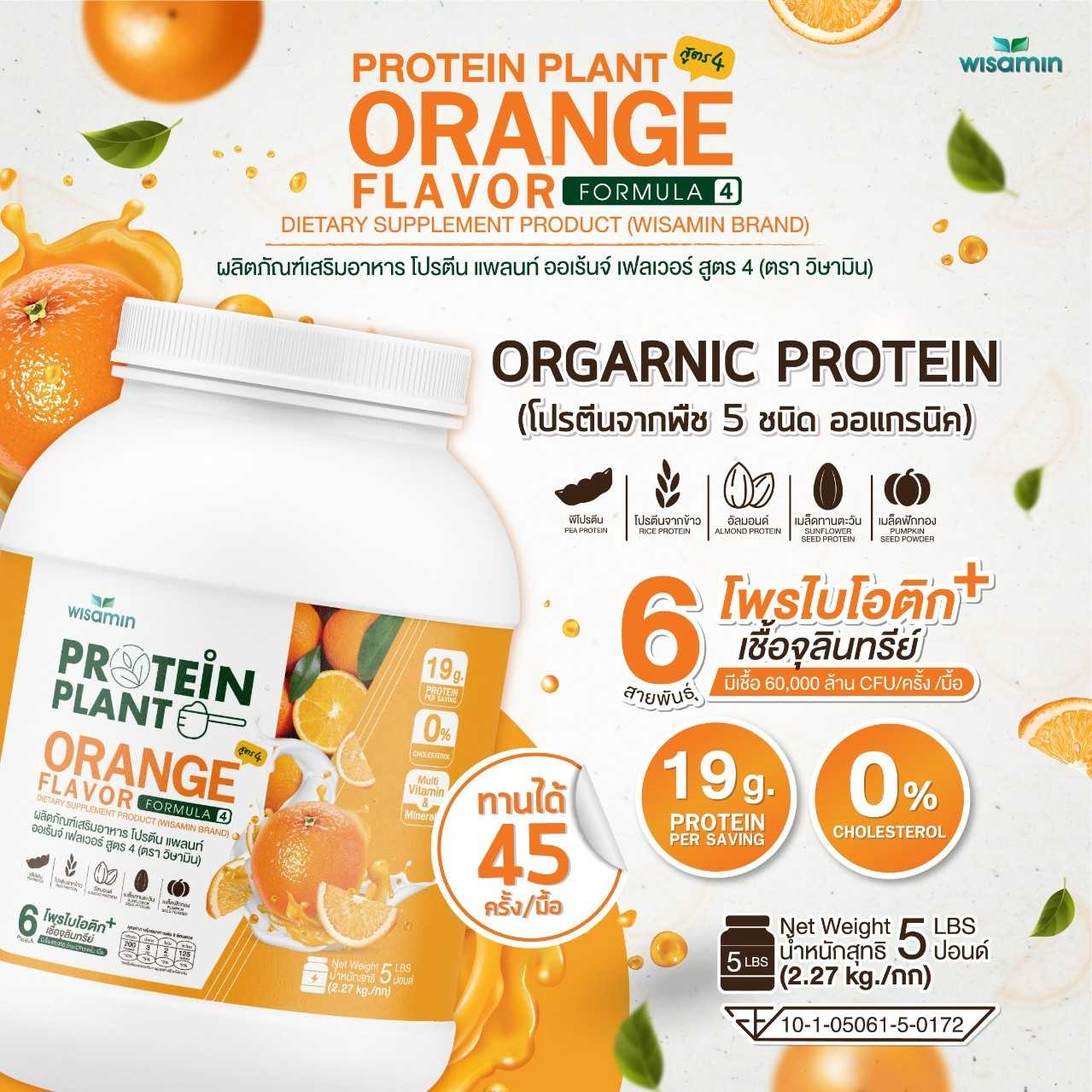 WISAMIN Plant Protein Formula 4 | Available in 14 Flavors | 2.27 kg (5LB) | 45 Servings | Halal | Organic | Probiotics & Minerals
