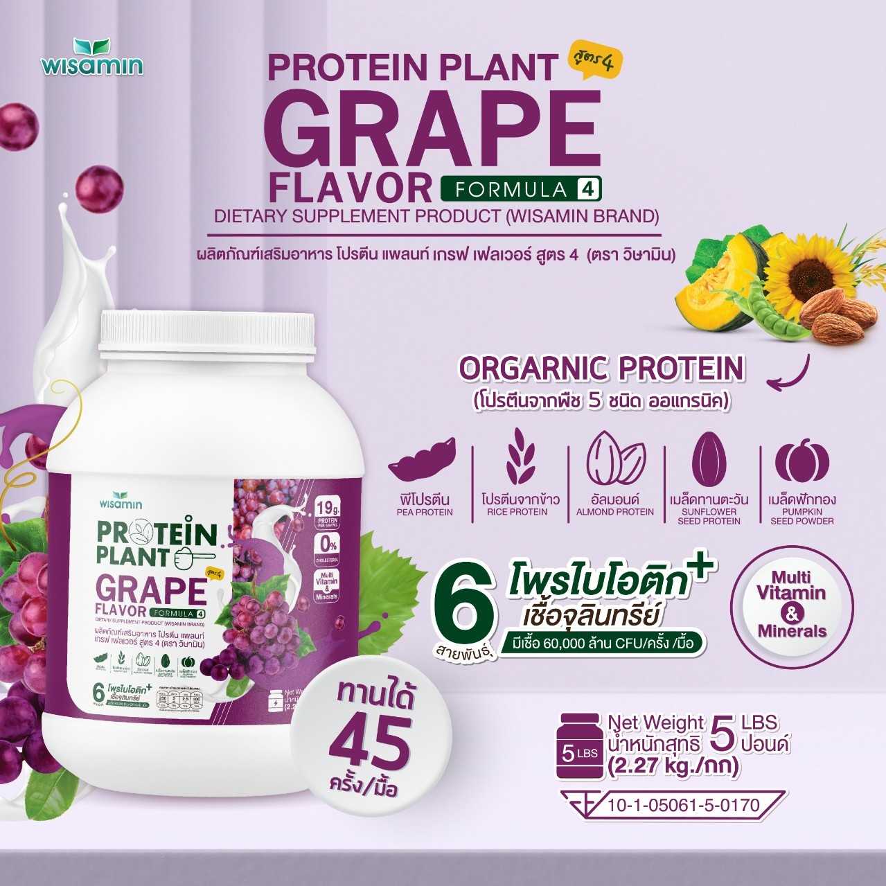 WISAMIN Plant Protein Formula 4 | Available in 14 Flavors | 2.27 kg (5LB) | 45 Servings | Halal | Organic | Probiotics & Minerals