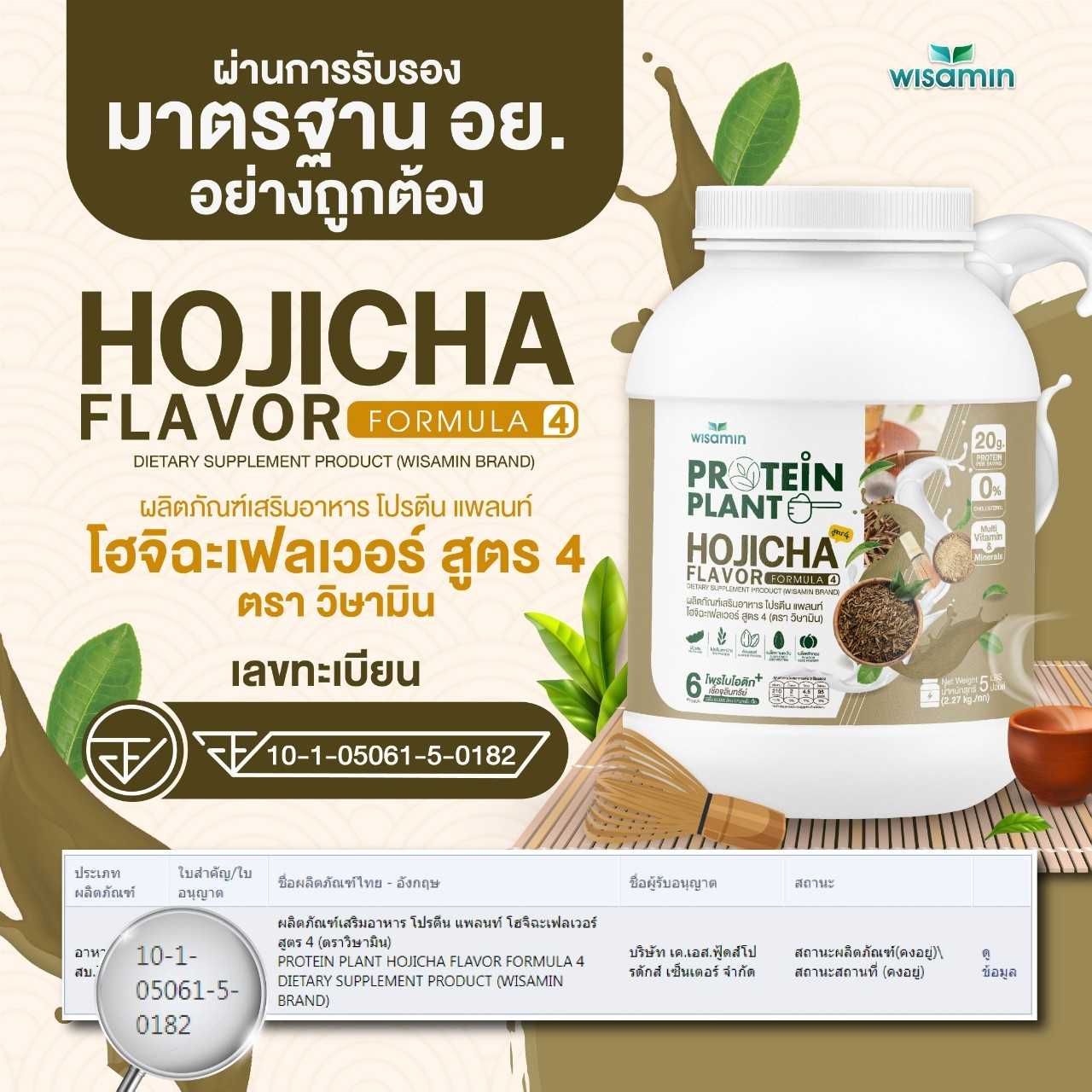 WISAMIN Plant Protein Formula 4 | Available in 14 Flavors | 2.27 kg (5LB) | 45 Servings | Halal | Organic | Probiotics & Minerals