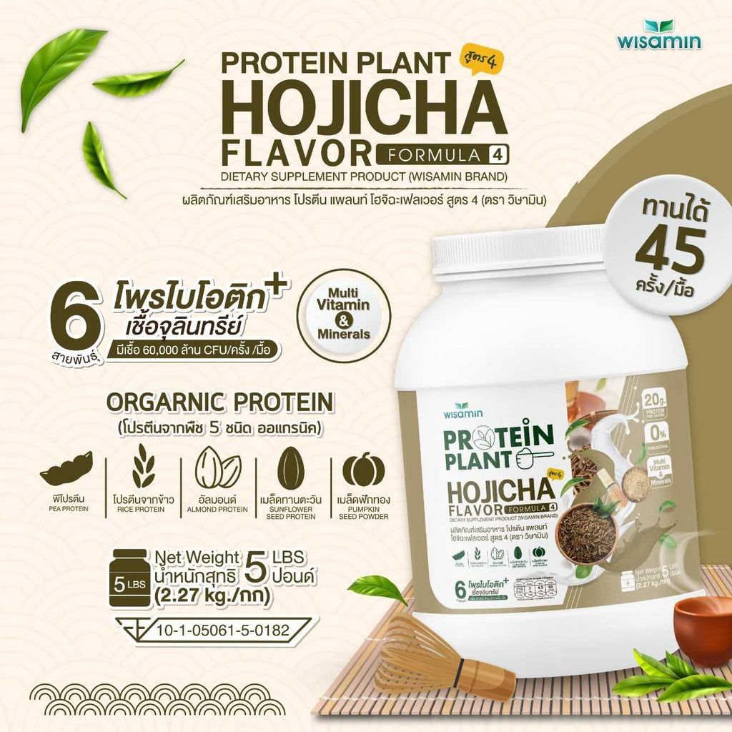 WISAMIN Plant Protein Formula 4 | Available in 14 Flavors | 2.27 kg (5LB) | 45 Servings | Halal | Organic | Probiotics & Minerals