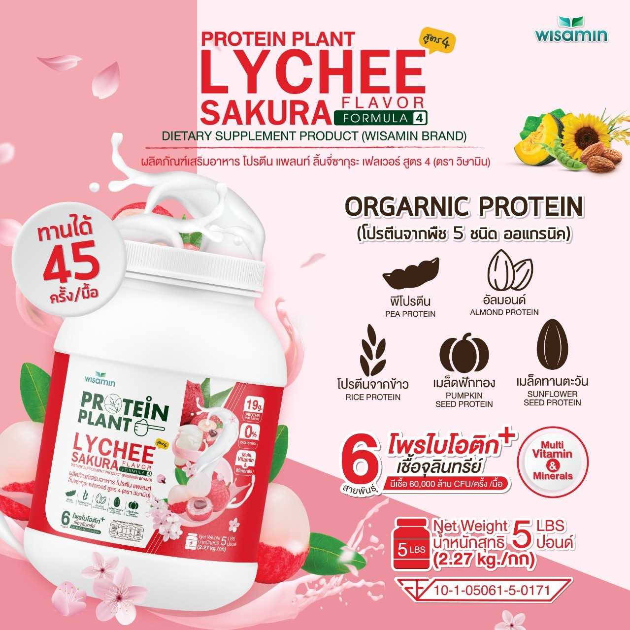 WISAMIN Plant Protein Formula 4 | Available in 14 Flavors | 2.27 kg (5LB) | 45 Servings | Halal | Organic | Probiotics & Minerals