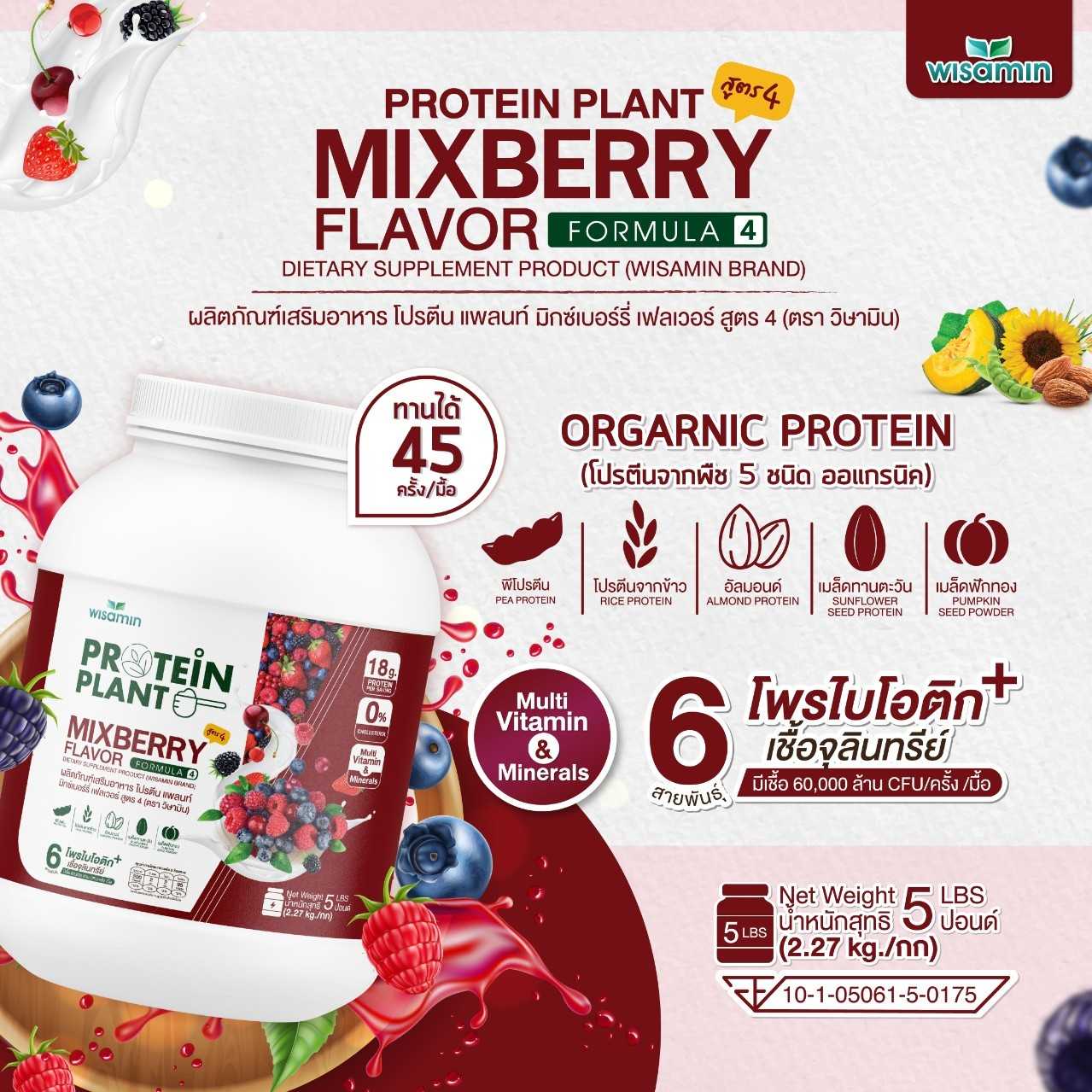 WISAMIN Plant Protein Formula 4 | Available in 14 Flavors | 2.27 kg (5LB) | 45 Servings | Halal | Organic | Probiotics & Minerals
