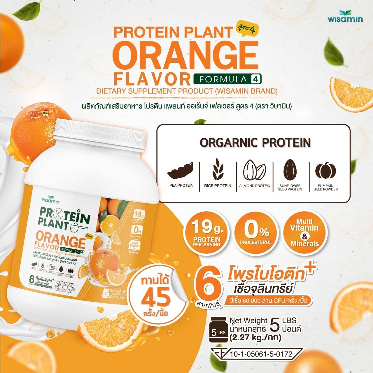 WISAMIN Plant Protein Formula 4 | Available in 14 Flavors | 2.27 kg (5LB) | 45 Servings | Halal | Organic | Probiotics & Minerals