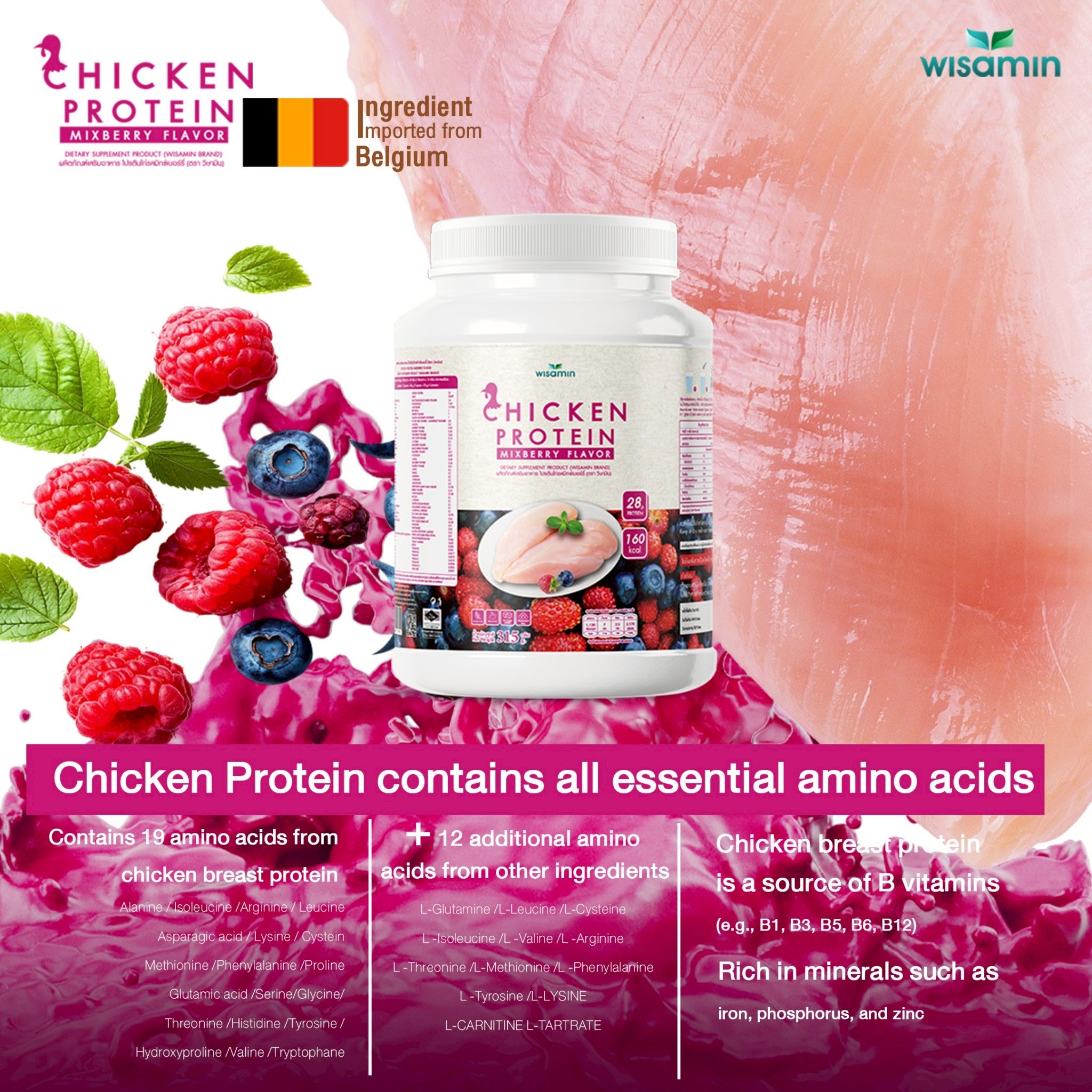WISAMIN Hydrolyzed Chicken Protein | 4 Flavors Available | 315 g per Jar | Halal Certified | Gluten-Free | Non-GMO