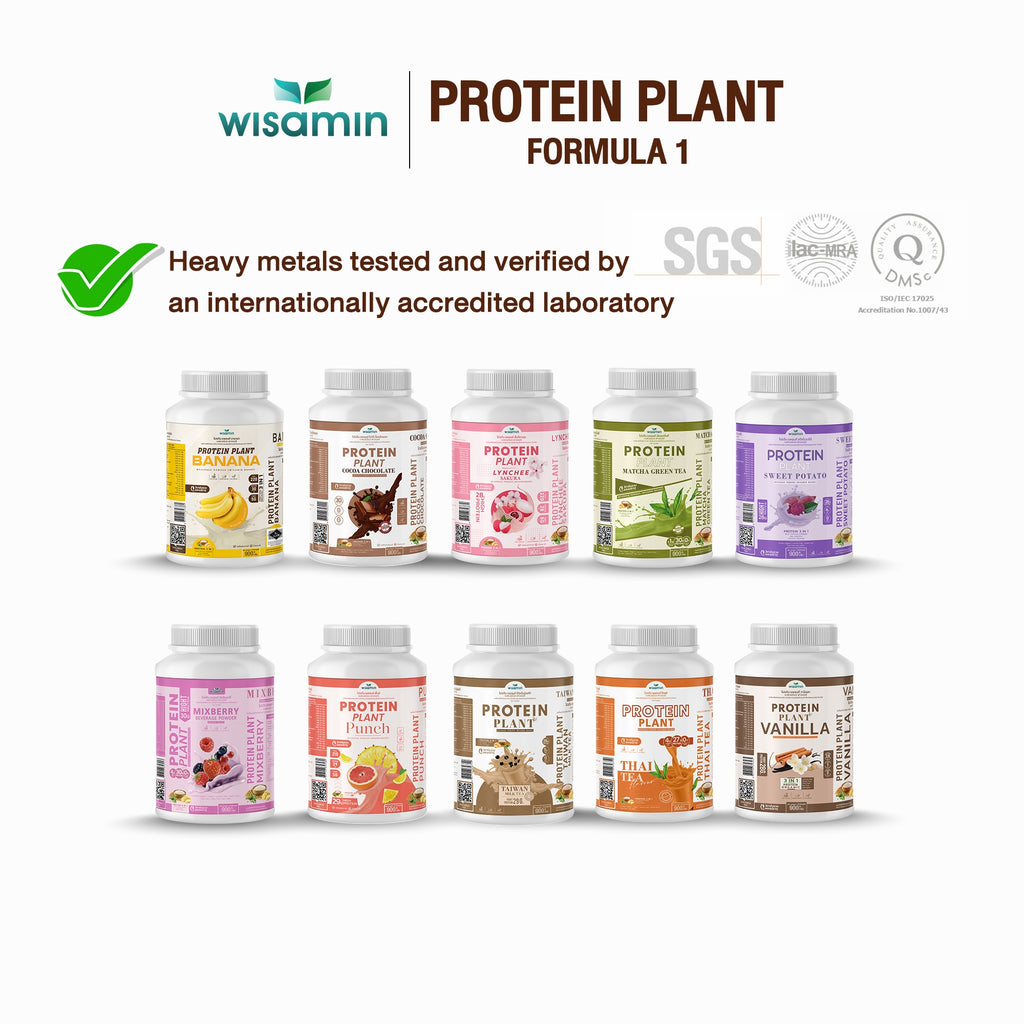 WISAMIN Plant Protein Formula 1 | High protein 27-30g | 10 Flavors | 900g 2LBS | Organic | Halal | Soy-Free | Non-GMO | No Added Sugar