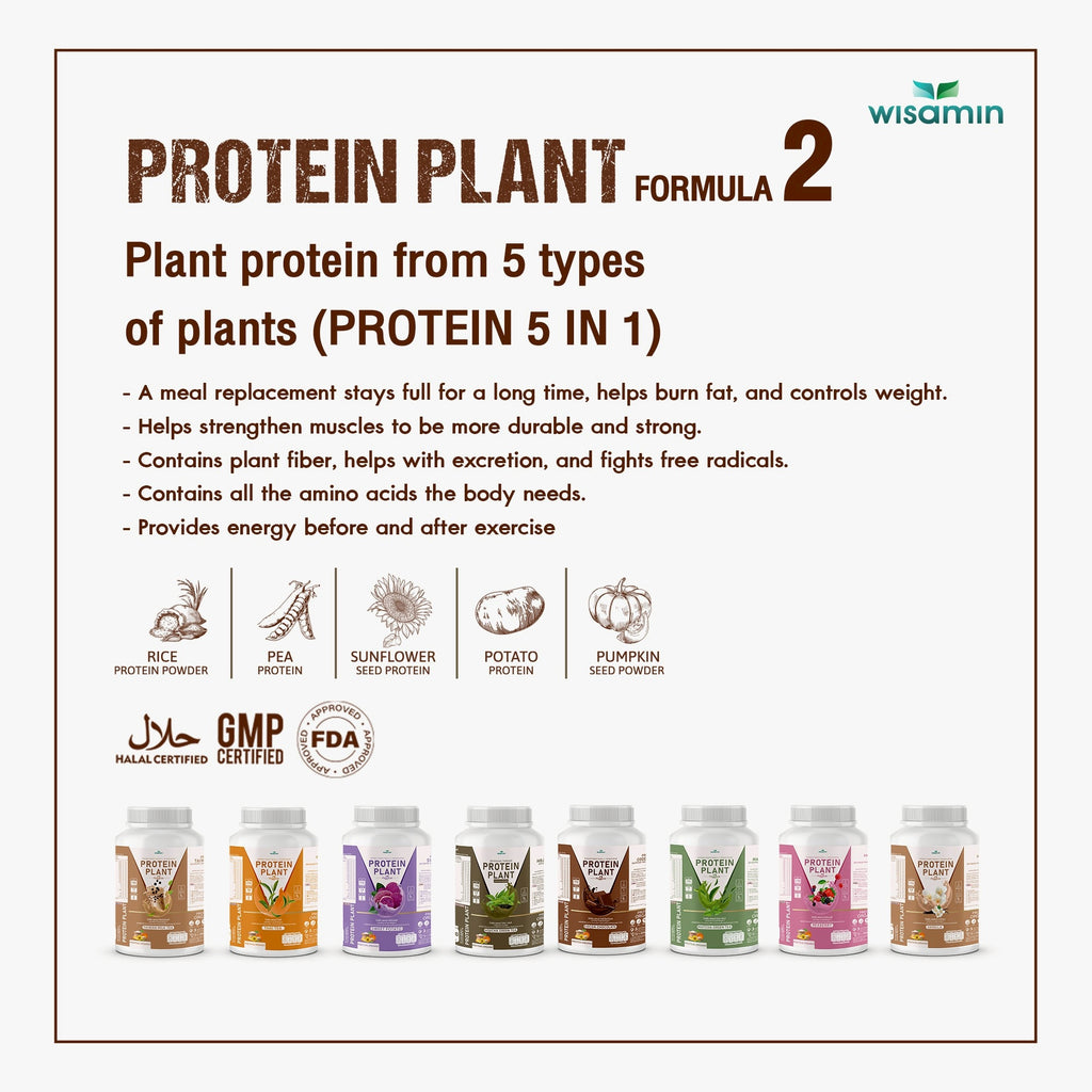 WISAMIN Plant Protein Formula 2 | High protein 16-17g | 8 Flavors | 920g | Organic | Halal | Soy-Free | Non-GMO | No Added Sugar