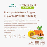 WISAMIN Formula Protein Tumbuhan 3 | Protein tinggi 25-28g | Dengan Peptida Kolagen & L-Glutathione | 250g | 11 Perisa | Disahkan Halal | Organik