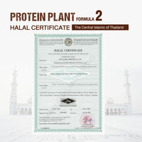 Plant Protein Formula 2 | High protein 16-17g | 250g