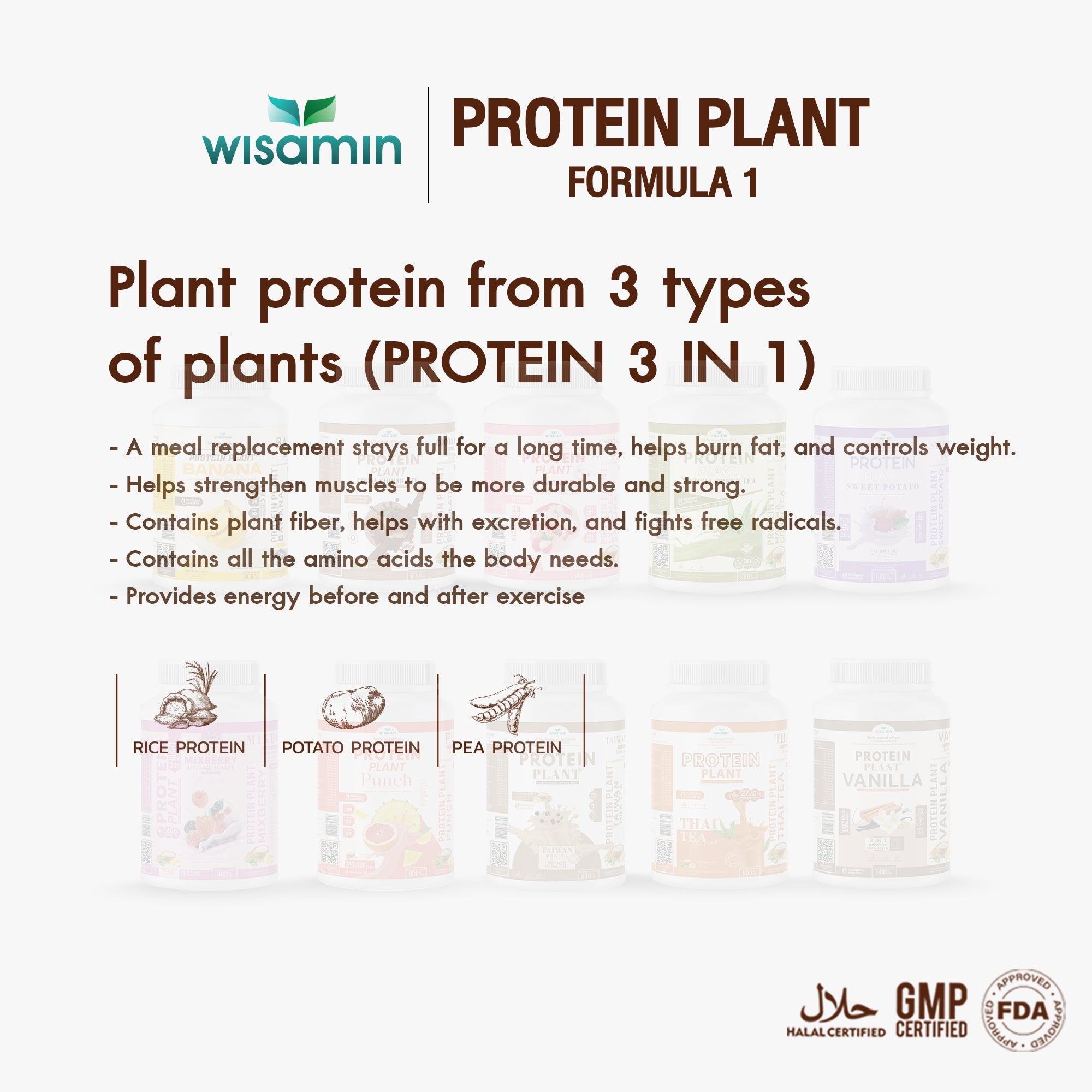 WISAMIN Plant Protein Formula 1 | High protein 27-30g | 10 Flavors | 900g 2LBS | Organic | Halal | Soy-Free | Non-GMO | No Added Sugar