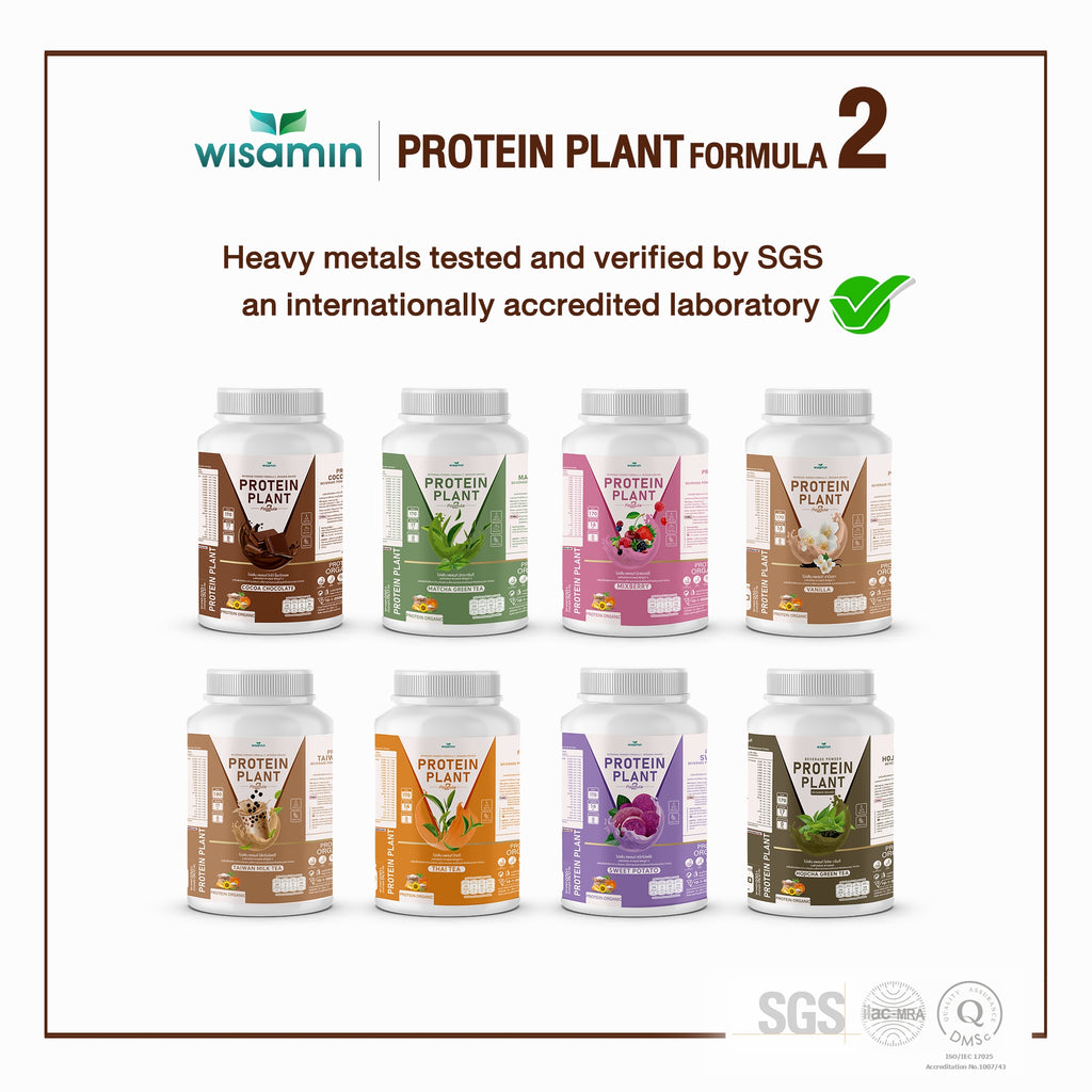 WISAMIN Plant Protein Formula 2 | High protein 16-17g | 8 Flavors | 920g | Organic | Halal | Soy-Free | Non-GMO | No Added Sugar