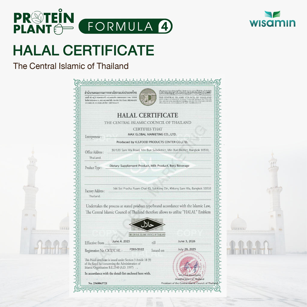WISAMIN Plant Protein Formula 4 | High protein 18-22g | 250g | 14 Flavors | Halal Certified | Organic | Probiotics & Vitamin-Mineral Blend