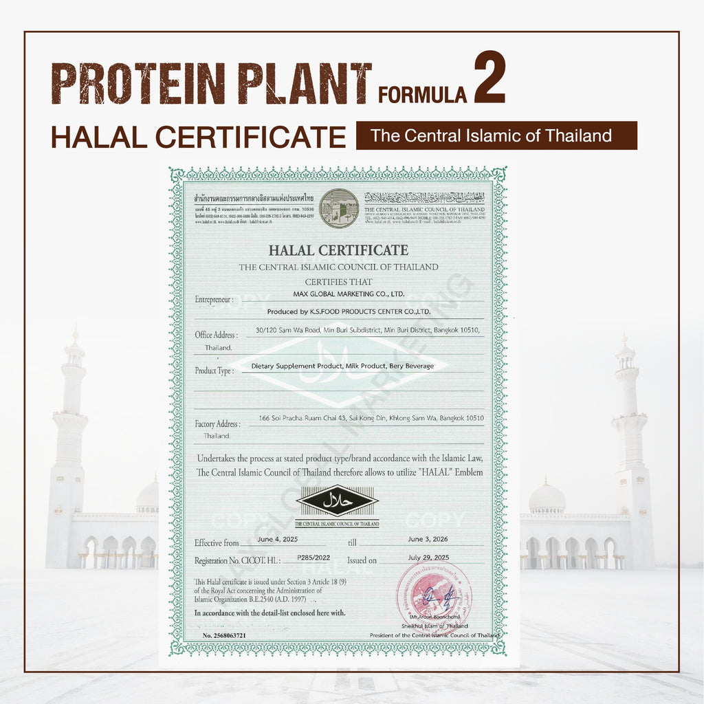 WISAMIN Plant Protein Formula 2 | High protein 16-17g | 8 Flavors | 920g | Organic | Halal | Soy-Free | Non-GMO | No Added Sugar