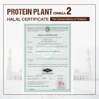 Plant Protein Formula 2 | High protein 16-17g | 920g